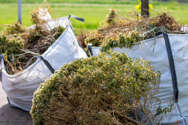 Best Professional Junk Removal  in Double Springs, AL